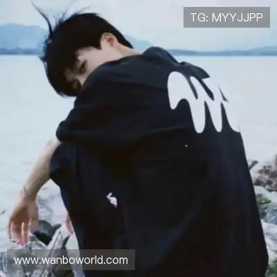 晏清飚